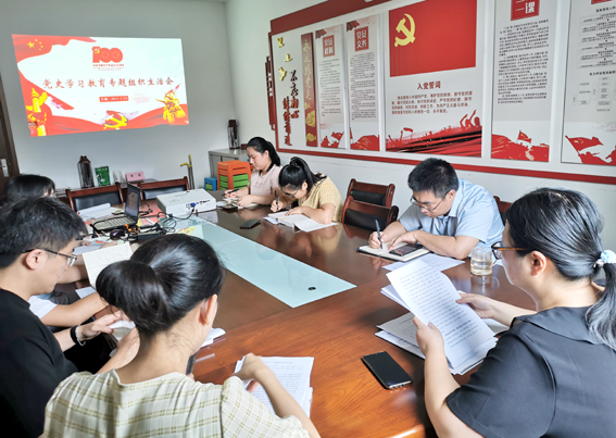 开元网页党支部召开党史学习教育专题组织生活会