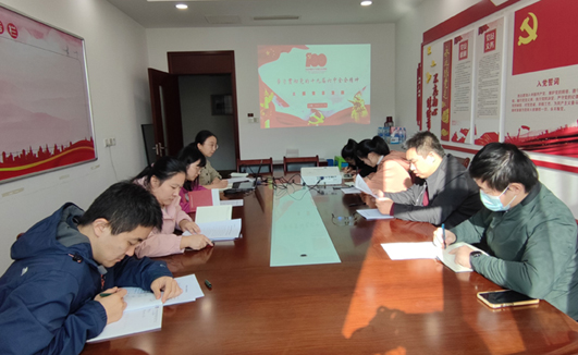 开元网页党支部开展“学习贯彻党的十九届六中全会精神”主题党日活动