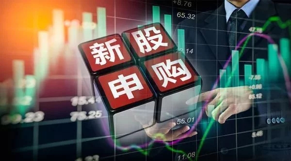 开元网页热烈庆祝天新药业上市新股申购
