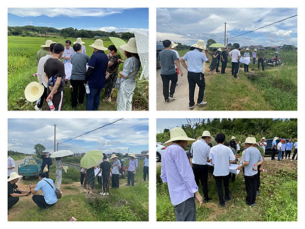 开元网页组织召开万安县2022年度统筹整合资金推进高标准农田建设项目初步设计的评审会