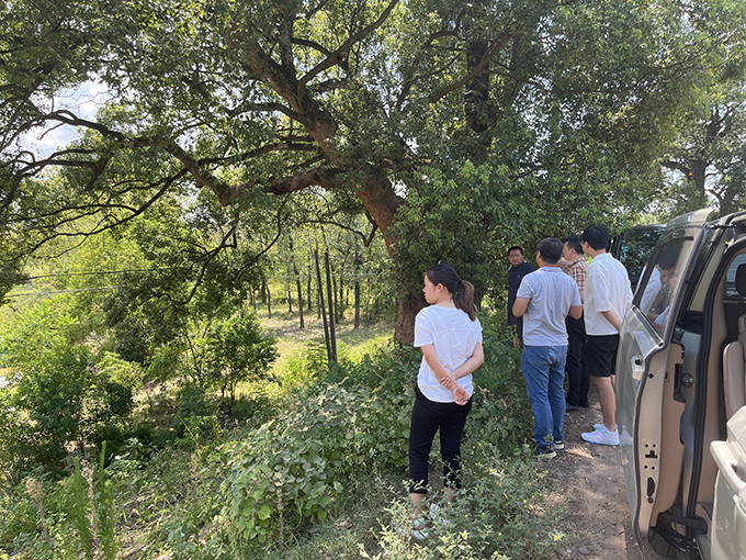 开元网页组织召开万安县通津河河流整治工程项目初步设计评审会