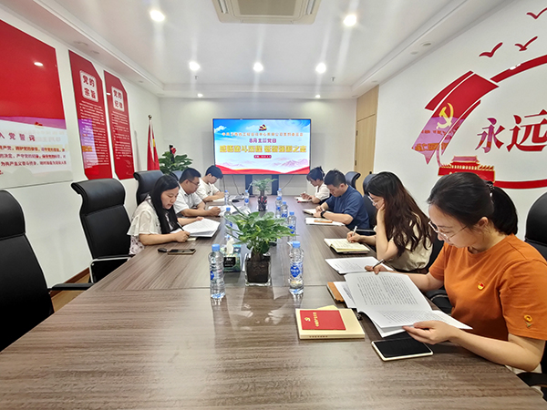 开元网页党支部开展“感悟奋斗历程 砥砺强国之志”主题党日活动