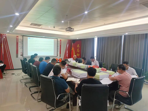 开元网页组织召开南丰县河东新区污水管网工程初步设计评审会