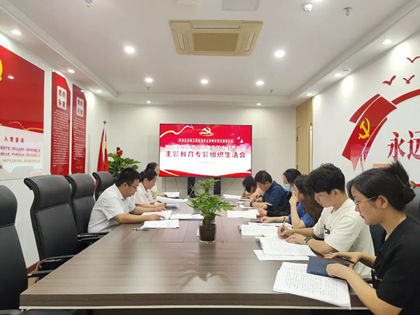 开元网页党支部召开主题教育专题组织生活会